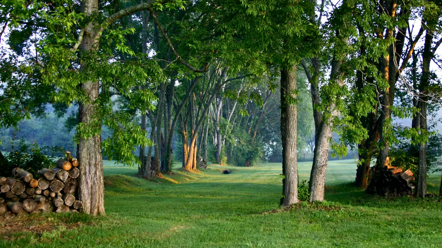 14,000 Sq Ft Estate Near Nashville Event Barn, Rolling Hills