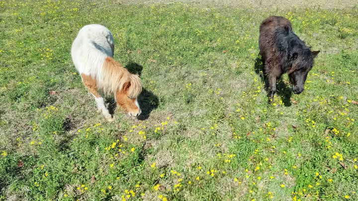 Road’s End Estate – A Private Aussie Wine Country Retreat