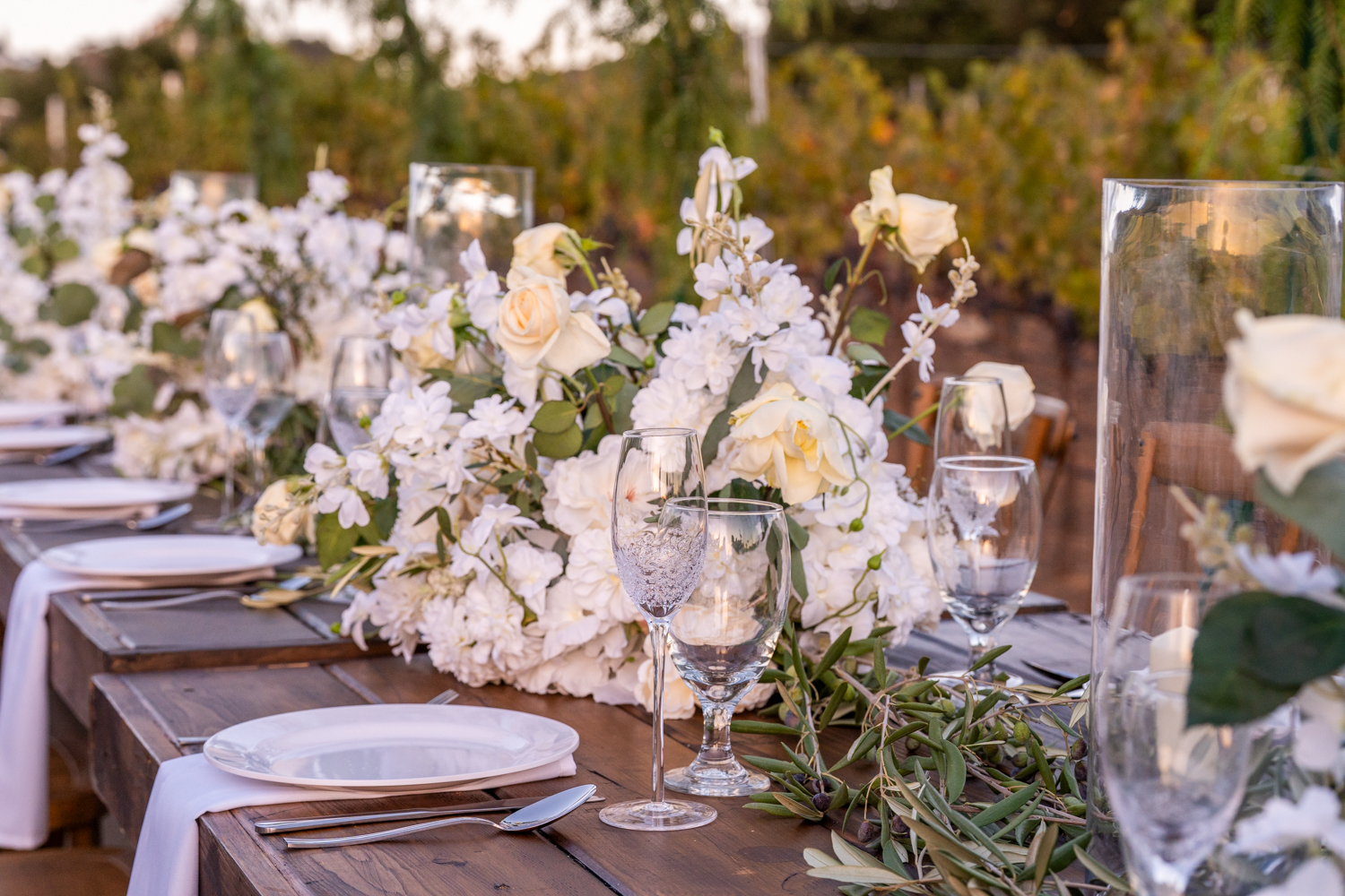 Sunset over vineyard ceremony space with golden hour lighting
